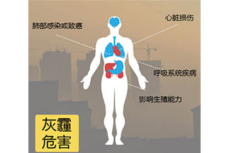 空氣中PM2.5 是由什么物質組成的？