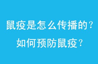 鼠疫是怎么傳播的？如何預(yù)防鼠疫？